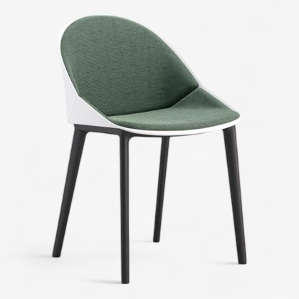 282 PAPILLON_A-Photoroom